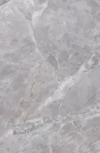 AVALTA 60X120 GLOSSY-images-721 DAYTON GREY