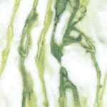 CRESTOLA AVOCADO