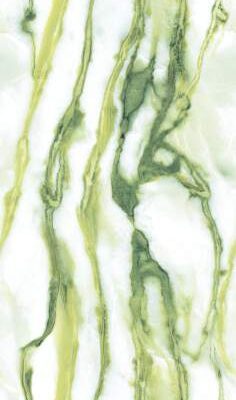 CRESTOLA AVOCADO CRESTOLA AVOCADO