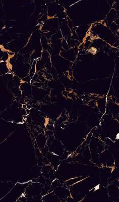 BLACK BUTY BLACK BUTY