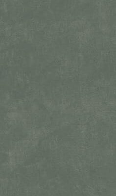 BRITON FOREST BRITON FOREST